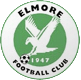 <span class="mw-page-title-main">Elmore F.C.</span> Association football club in England