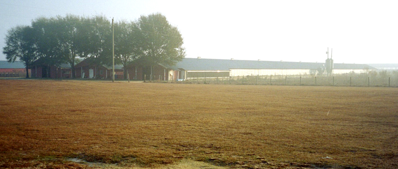 File:GoldKistHenFarm.jpg