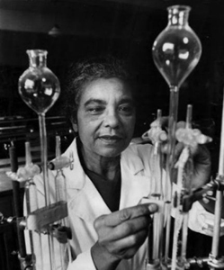 <span class="mw-page-title-main">Mary Elliott Hill</span> African-American chemist
