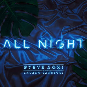 All night. Steve Night. All Night Remix. Песня the Nights.