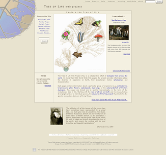 Lebensbaum Web Project.PNG