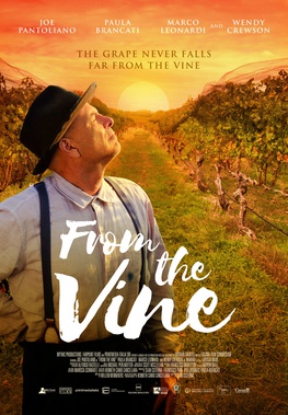 Vine - Wikipedia