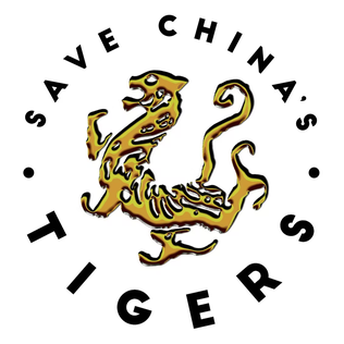 <span class="mw-page-title-main">Save China's Tigers</span> International conservation organization