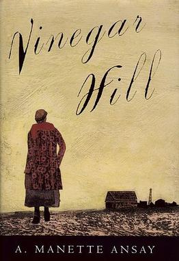 <i>Vinegar Hill</i> (novel)