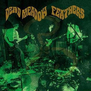 <i>Feathers</i> (Dead Meadow album) 2005 studio album by Dead Meadow