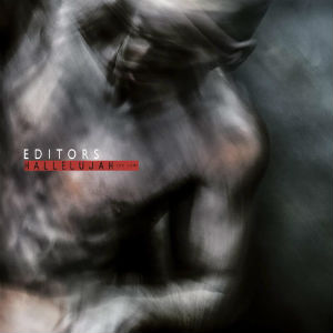 <span class="mw-page-title-main">Hallelujah (So Low)</span> 2018 single by Editors