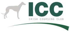 Irish Coursing Club Irish amateur sporting and cultural organisation