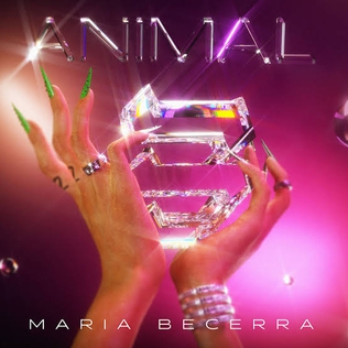 <i>Animal</i> (María Becerra album) 2021 studio album by María Becerra