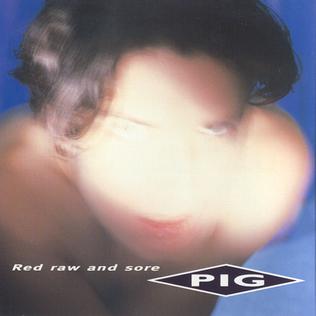 <i>Red Raw & Sore</i> 1994 EP by PIG