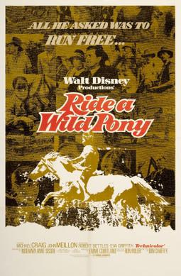 <i>Ride a Wild Pony</i> 1975 American film