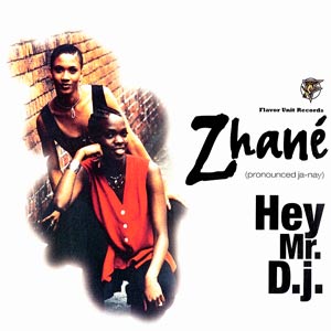 <span class="mw-page-title-main">Hey Mr. D.J. (Zhané song)</span> 1993 single by Zhané
