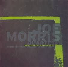 <i>Beautiful Existence</i> 2005 studio album by Joe Morris