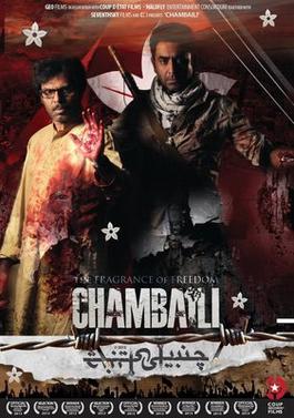 <i>Chambaili</i> 2013 Pakistani film