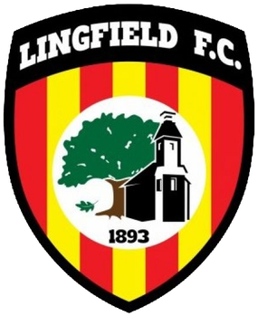 File:Lingfield F.C. logo.png