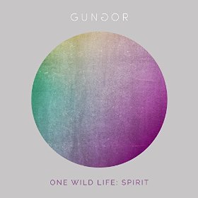 <i>One Wild Life: Spirit</i> 2016 studio album by Gungor