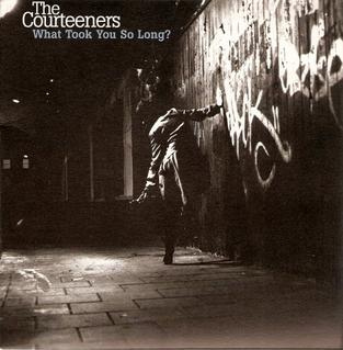 <span class="mw-page-title-main">What Took You So Long? (The Courteeners song)</span> 2008 single by The Courteeners