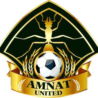 File:Amnat United logo.png