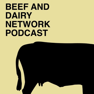 <i>Beef And Dairy Network Podcast</i> British comedy podcast