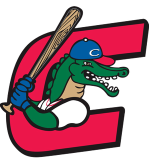 <span class="mw-page-title-main">Caimanes de Barranquilla</span> Colombian baseball team