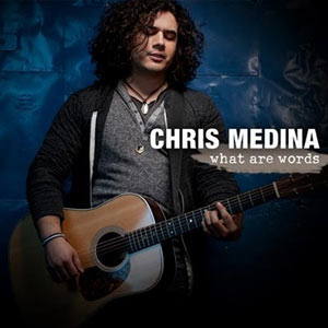 <span class="mw-page-title-main">What Are Words</span> 2011 single by Chris Medina