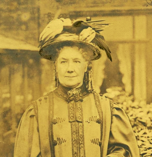 <span class="mw-page-title-main">Elizabeth Anne Lewis</span> British temperance activist (1843 – 1924)