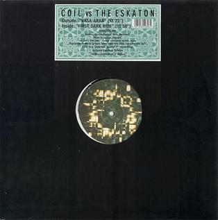 Nasa-Arab 1994 single by Coil vs. The Eskaton