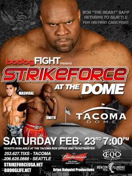 <span class="mw-page-title-main">Strikeforce: At The Dome</span> Strikeforce mixed martial arts event in 2008