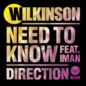 Need to Know (Wilkinson song) 2012 single by Wilkinson featuring Iman