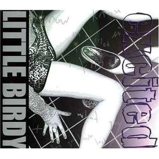 Excited (Little Birdy song) 2005 single by Little Birdy