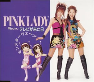 <span class="mw-page-title-main">Terebi ga Kita Hi</span> 2003 single by Pink Lady