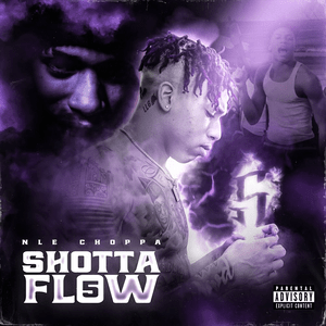 <span class="mw-page-title-main">Shotta Flow 5</span> 2020 single by NLE Choppa