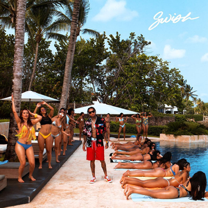 Swish (Tyga song) 2018 single by American rapper Tyga