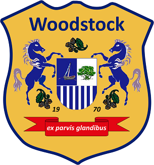 <span class="mw-page-title-main">Woodstock Sports F.C.</span> Football club