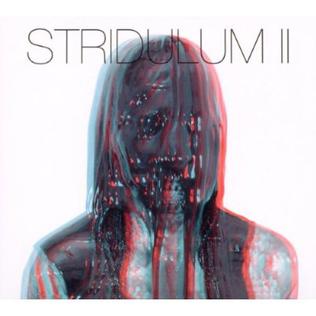 <i>Stridulum II</i> 2010 studio album by Zola Jesus