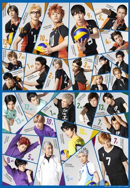 Haikyuu!!, Wiki