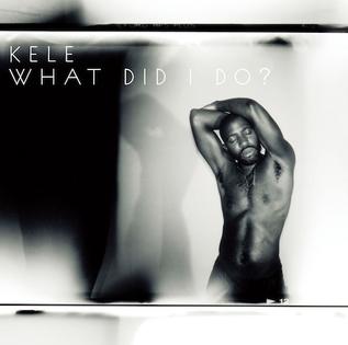 What Did I Do? 2011 single by Kele featuring Lucy Taylor