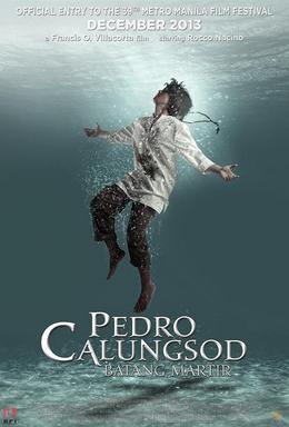 <i>Pedro Calungsod: Batang Martir</i> 2013 Filipino film