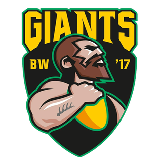 <span class="mw-page-title-main">Zuffenhausen Giants</span> German Australian rules football club