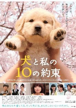 Image result for film 10 promises to my dog