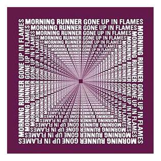 <span class="mw-page-title-main">Gone Up in Flames</span> 2005 single by Morning Runner