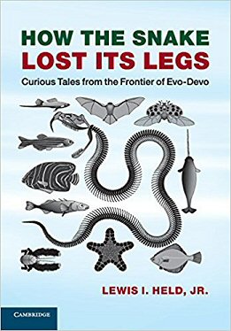 File:How the Snake Lost its Legs cover.jpg
