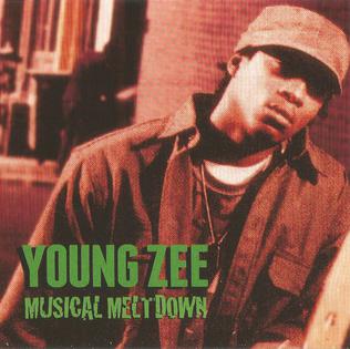 <i>Musical Meltdown</i> 1996 studio album by Young Zee