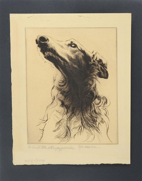 File:SMWBorzoi.jpg