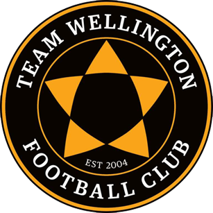 File:Team Wellington logo.png