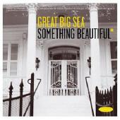 <i>Something Beautiful</i> (Great Big Sea album) 2004 studio album by Great Big Sea