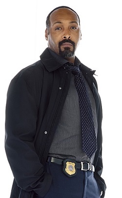 <span class="mw-page-title-main">Joe West (Arrowverse)</span> Fictional character from the television series The Flash