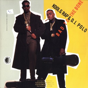 Bad to the Bone (Kool G Rap & DJ Polo song) 1991 single by Kool G Rap