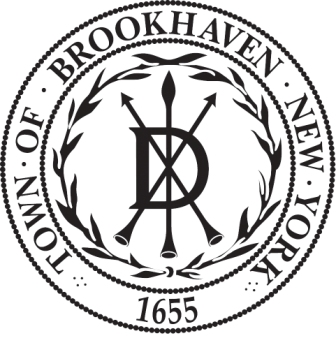 Brookhaven, Official Brookhaven Wiki