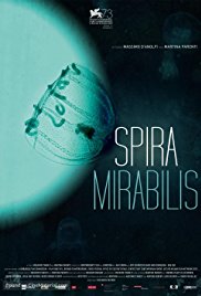 Spira Mirabilis.jpg