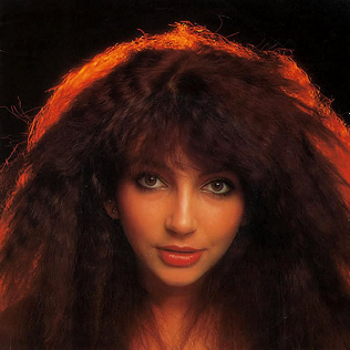 <span class="mw-page-title-main">Hammer Horror (song)</span> 1978 single by Kate Bush